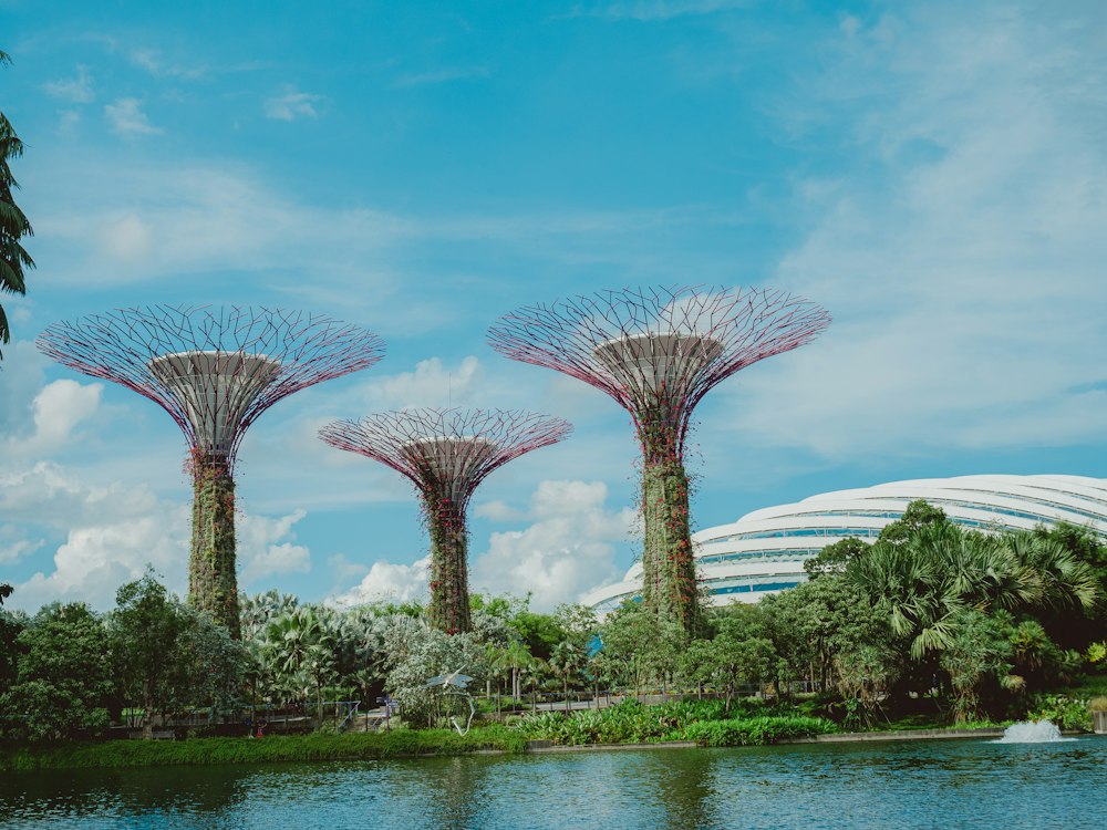 Gardens by the Bay Supertrees in Singapore