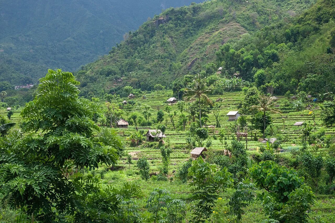 Bali landscape